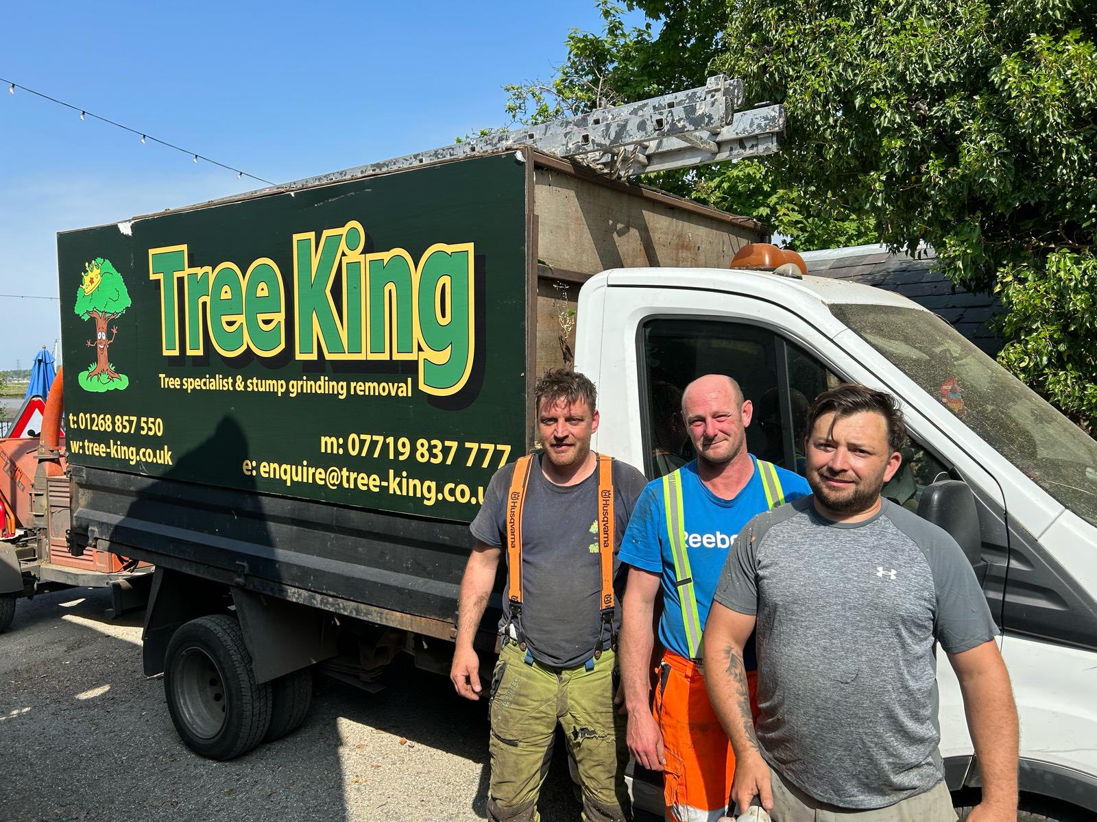 Professional Tree King team
