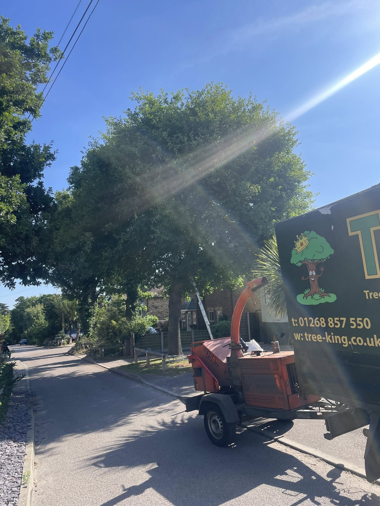 Tree King branded equipment and van