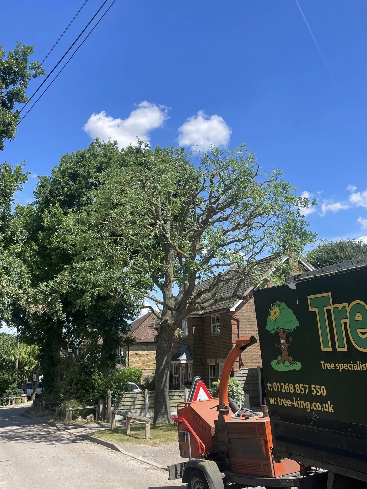 Tree King equipment in action