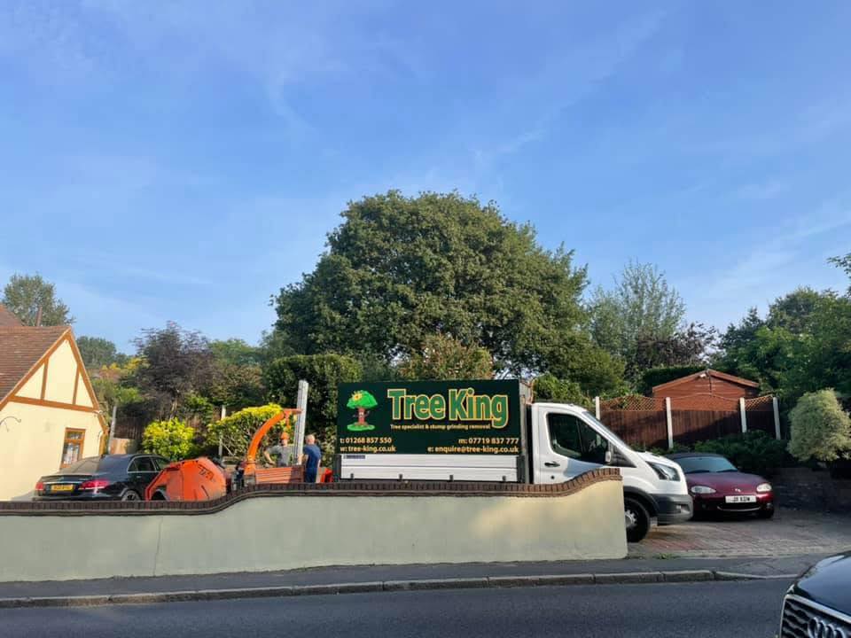 Tree King team and equipment on site