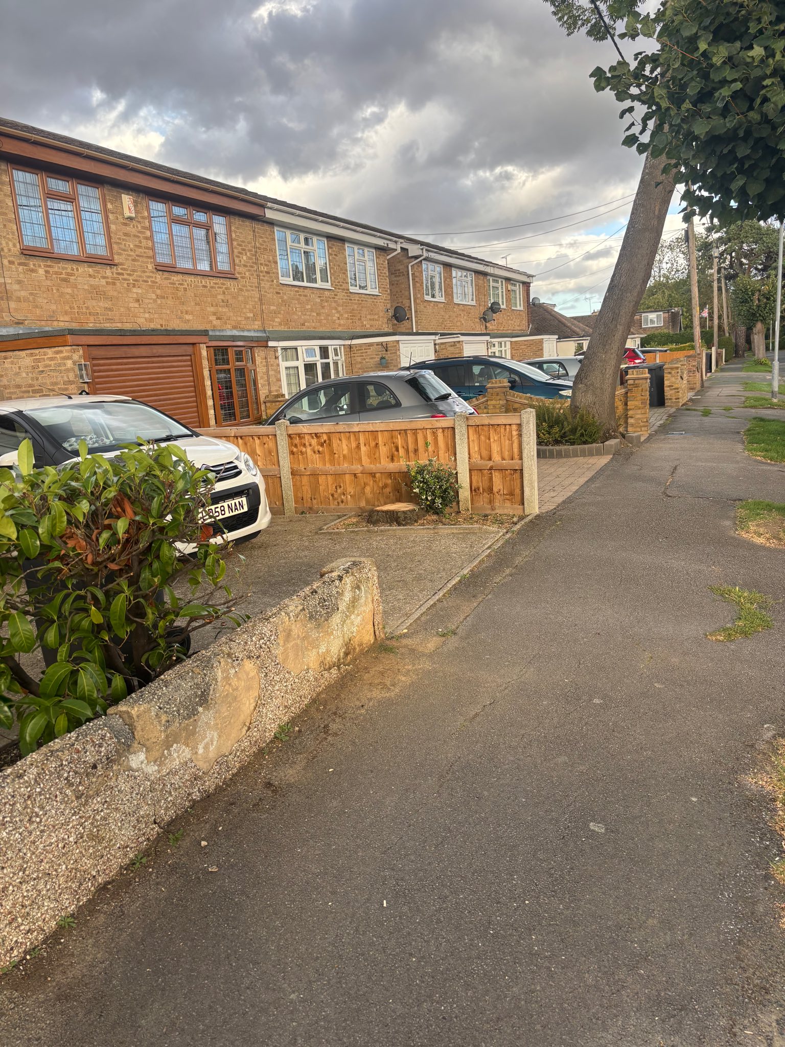 Residential property after tree and stump removal