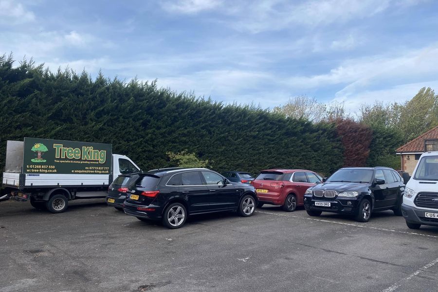 Hedge Cutting & Shaping by Tree King