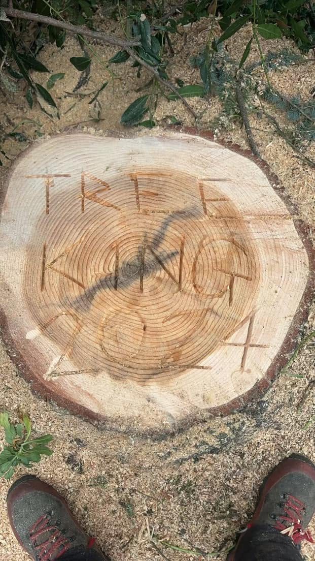 Tree King at work