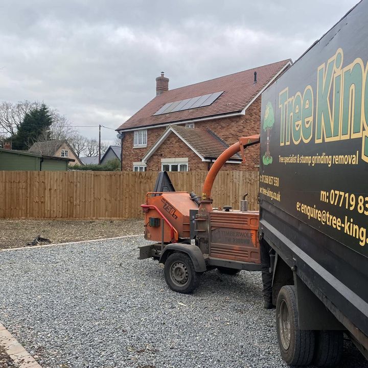 Tree King tree surgery job in Essex