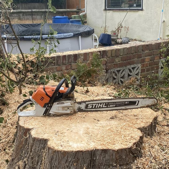 Tree King tree surgery job in Essex